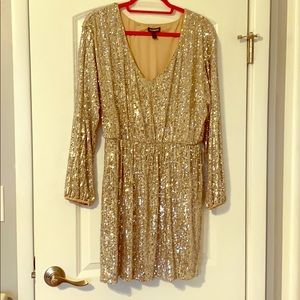 Express Silver Sequined Dress
